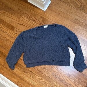 Dry Goods Blue Sweater